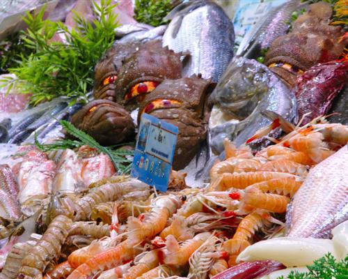 Meeresfrüchte, ein wesentliches Produkt in der südlichen Bretagne