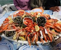 Meeresfrüchteteller direkt aus der Bretagne