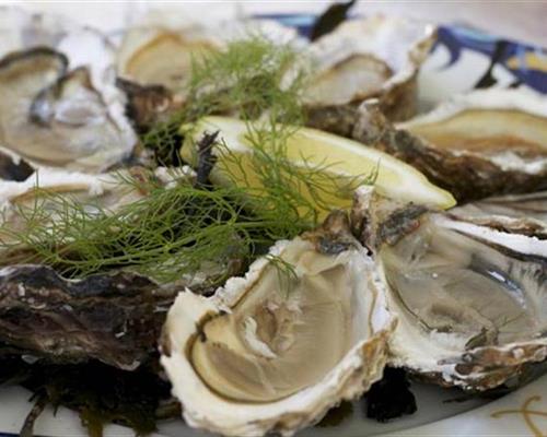 Probieren Sie Austern aus dem Golf von Morbihan