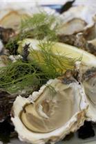 Probieren Sie Austern aus dem Golf von Morbihan